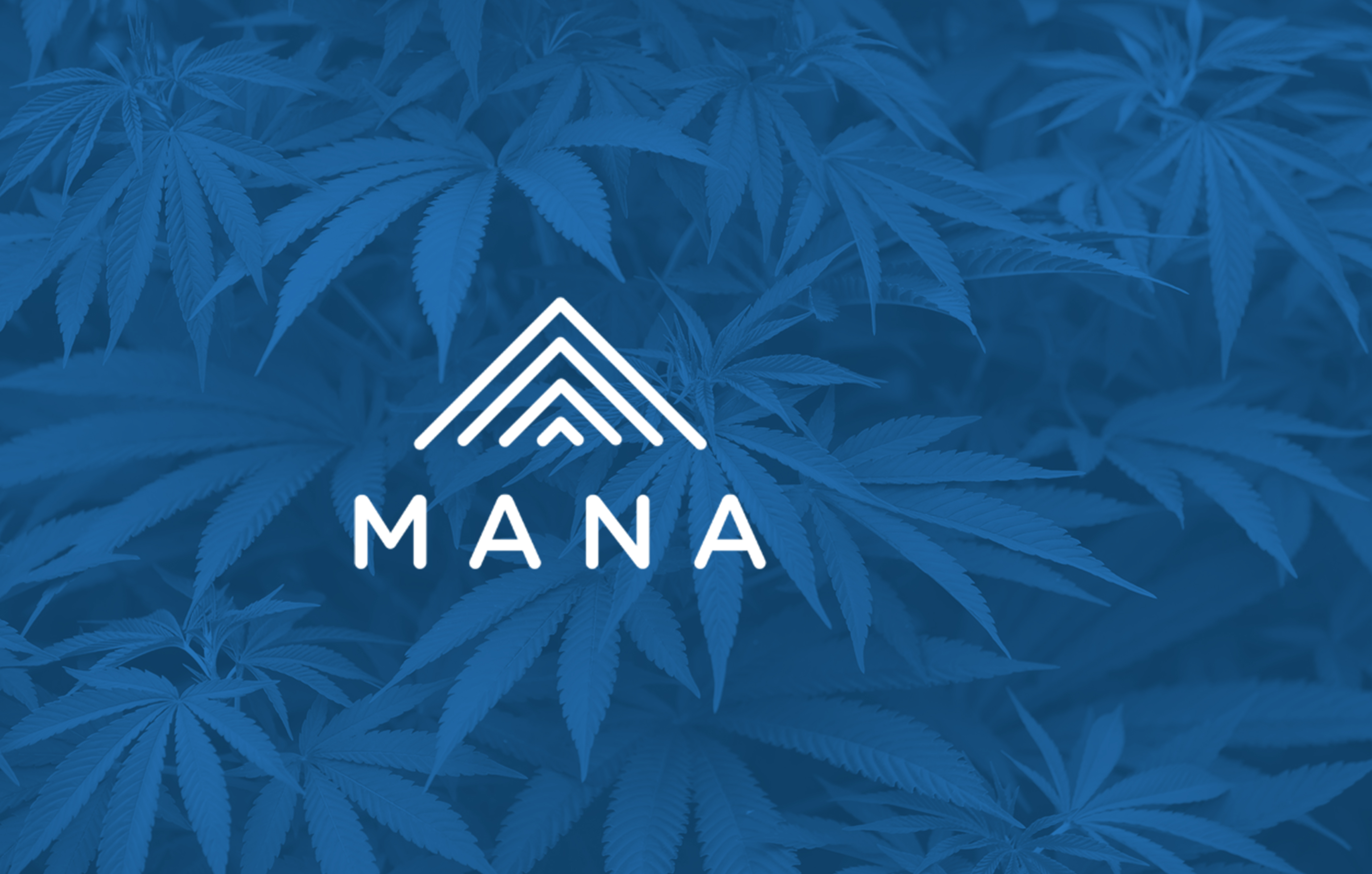 Cannabis-Mana copy