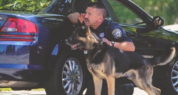 Police man with a police service dog